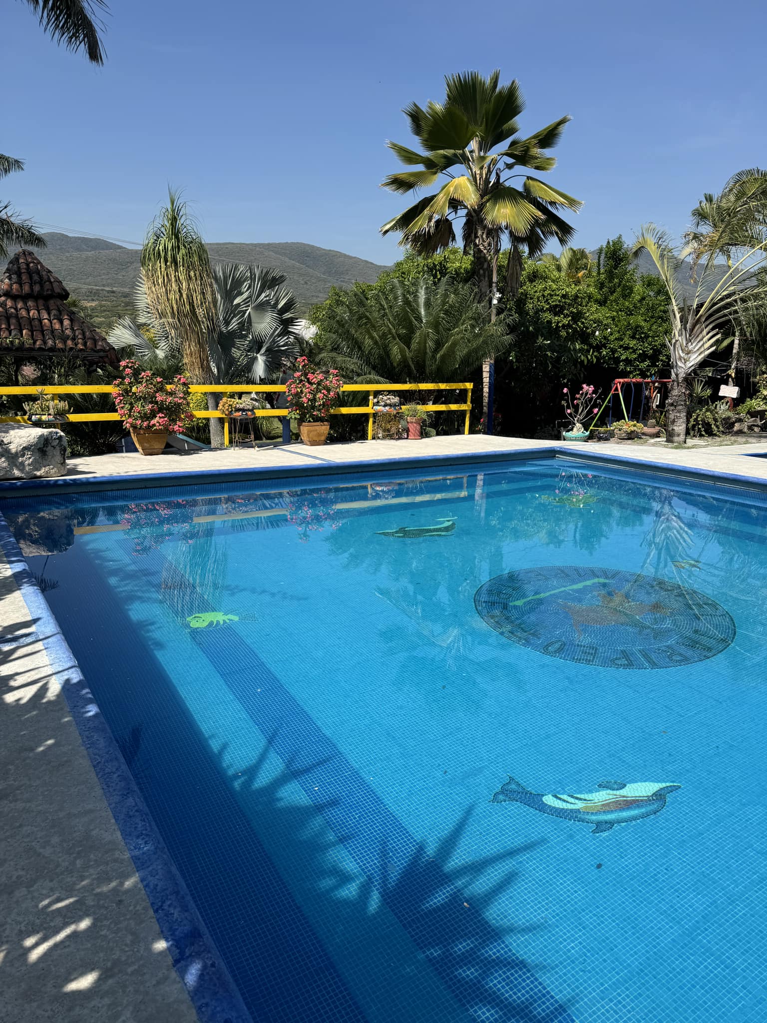 Ambiente relajante junto a la alberca