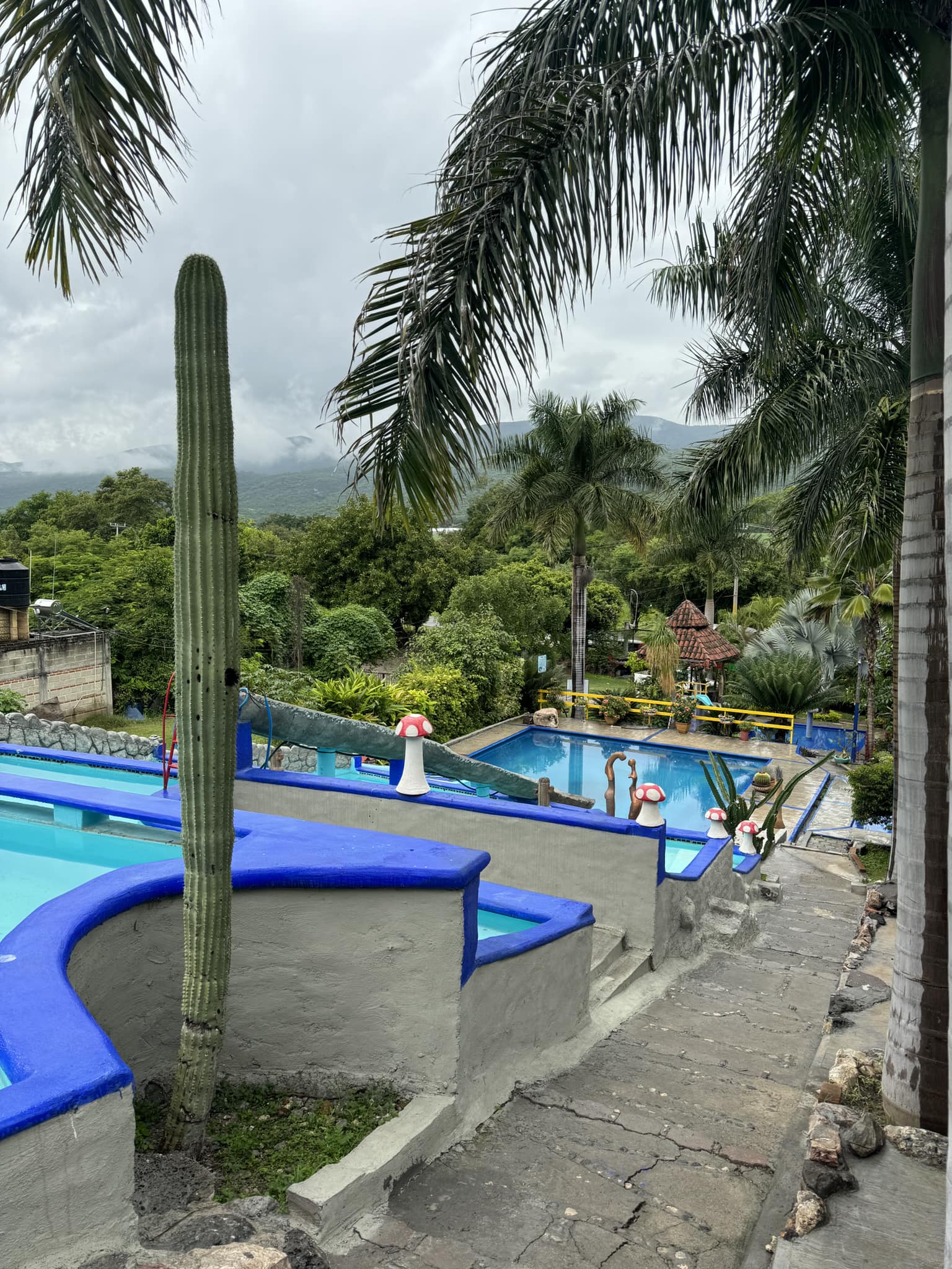 Zona de la alberca del restaurante