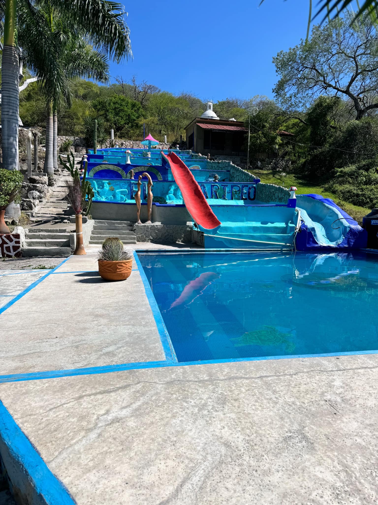 Ambiente relajante junto a la alberca